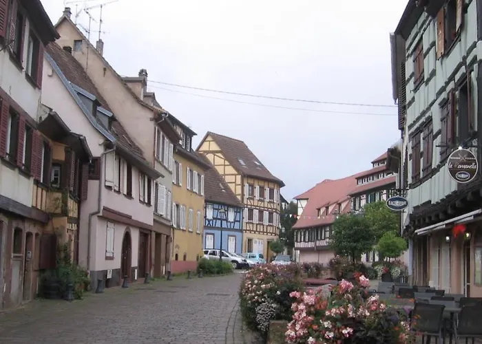 Neuf Et Cosy A Barr, Route Des Vins